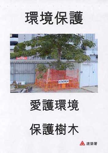 提示八:保護樹木