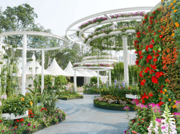 When Dreams Blossom - Hong Kong Flower Show 2019