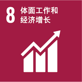 UNSDG 8 体面工作和经济增长