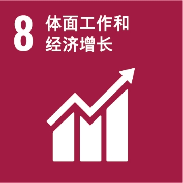 可持续发展目标8:体面工作和经济增长