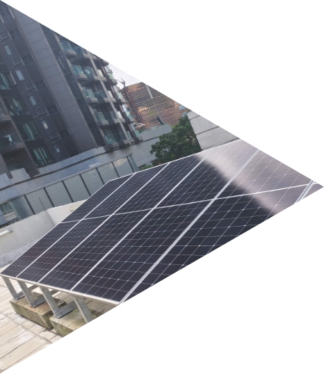 外牆和課室牆身均採用清水混凝土，不但促進可持續發展，同時體現建材的自然美感和「組裝合成」建築法的優良品質控制。