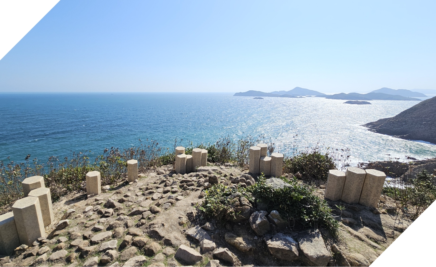 原生植物與現有植被相互融合,減緩土壤侵蝕,並保育生態系統的多樣性。