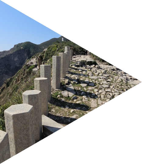 原生植物與現有植被相互融合,減緩土壤侵蝕,並保育生態系統的多樣性。