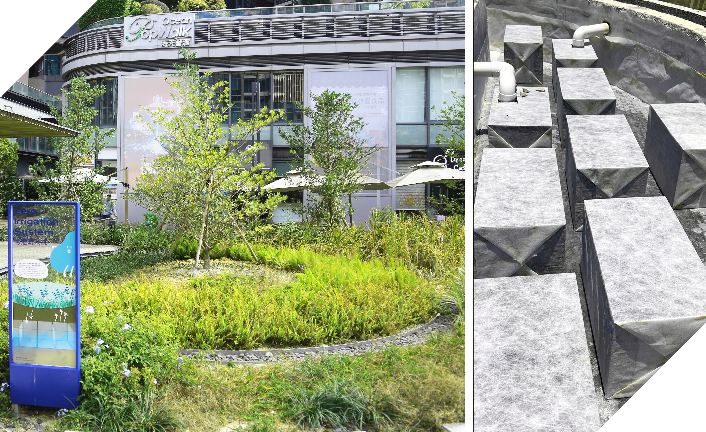 空氣淨化太陽能玻璃天幕和太陽能照明，不但可透過再生能源為公園供電，亦可改善空氣質素。從種植區收集的雨水，可循環回儲於水箱供灌溉之用。零灌溉花園更進一步體現循環用水的理念，當中的「零灌溉」系統整合及儲存多餘的水，能完全自給自足，無需額外澆水。