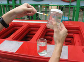 Checking water sample taken from waste water treatment plant