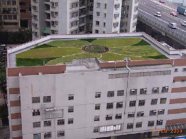 銅鑼灣社區中心：興建綠化天台之及後的樣貌