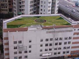 铜锣湾社区中心:兴建绿化天台之及后的样貌
