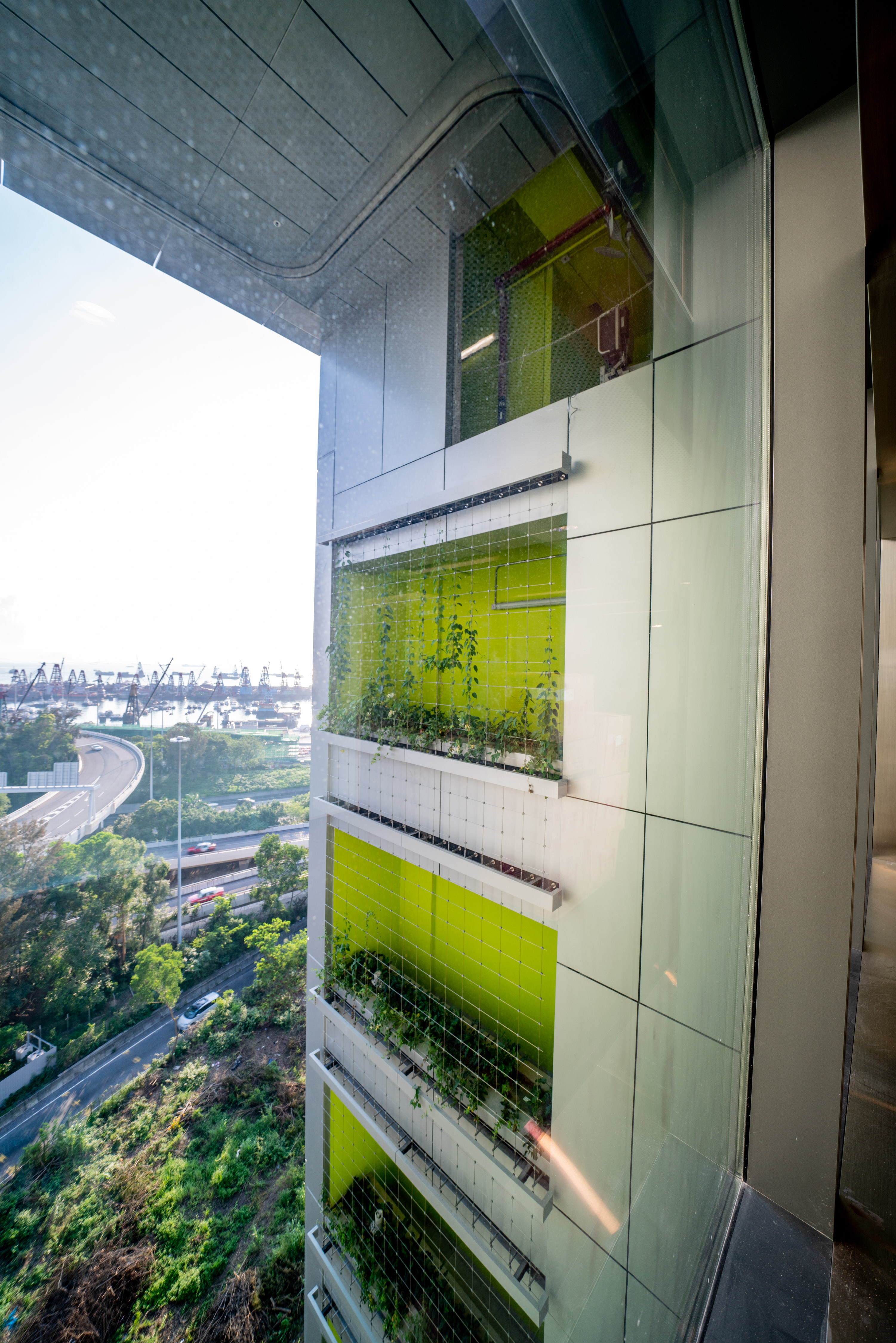 Vertical Greening