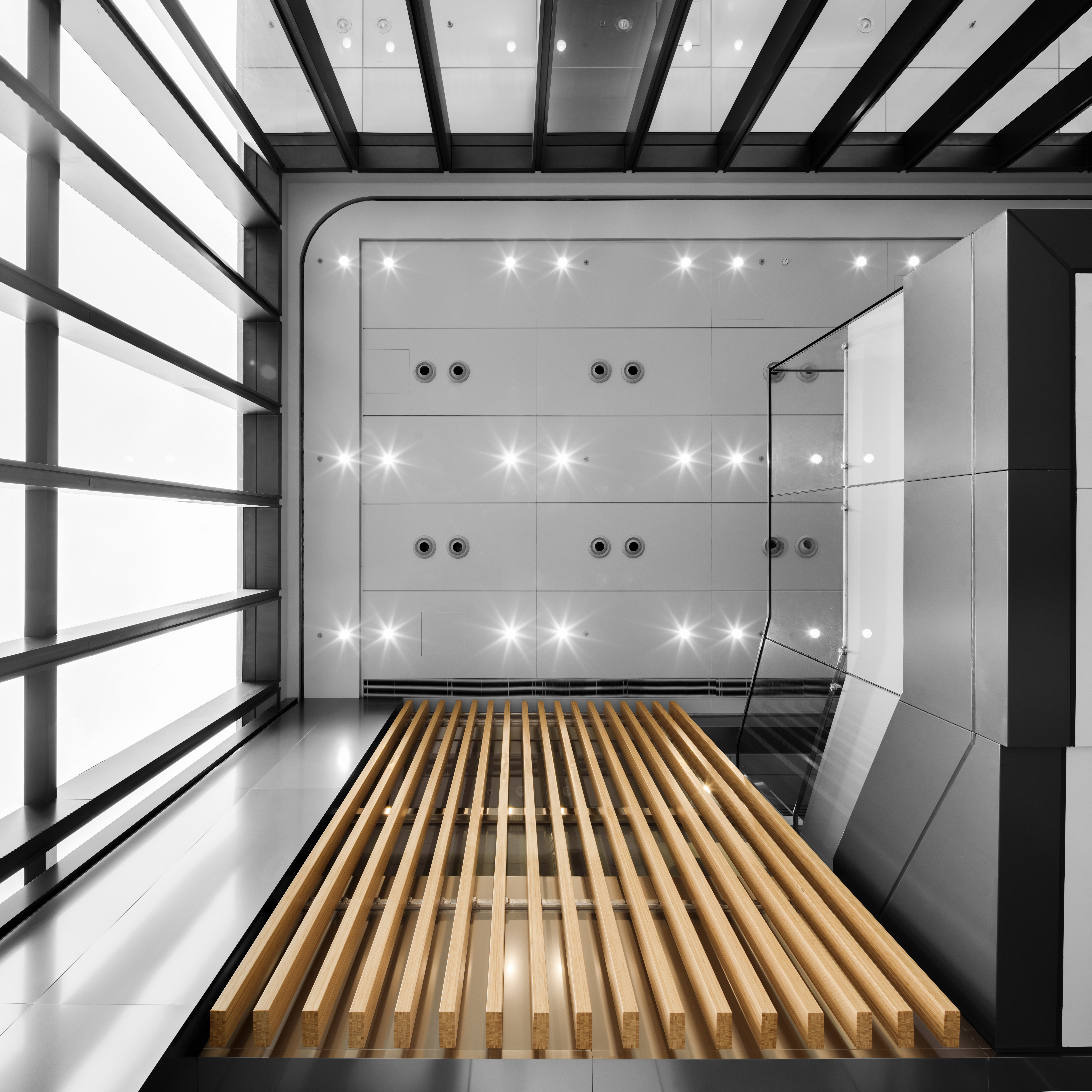Main Entrance Lobby Ceiling