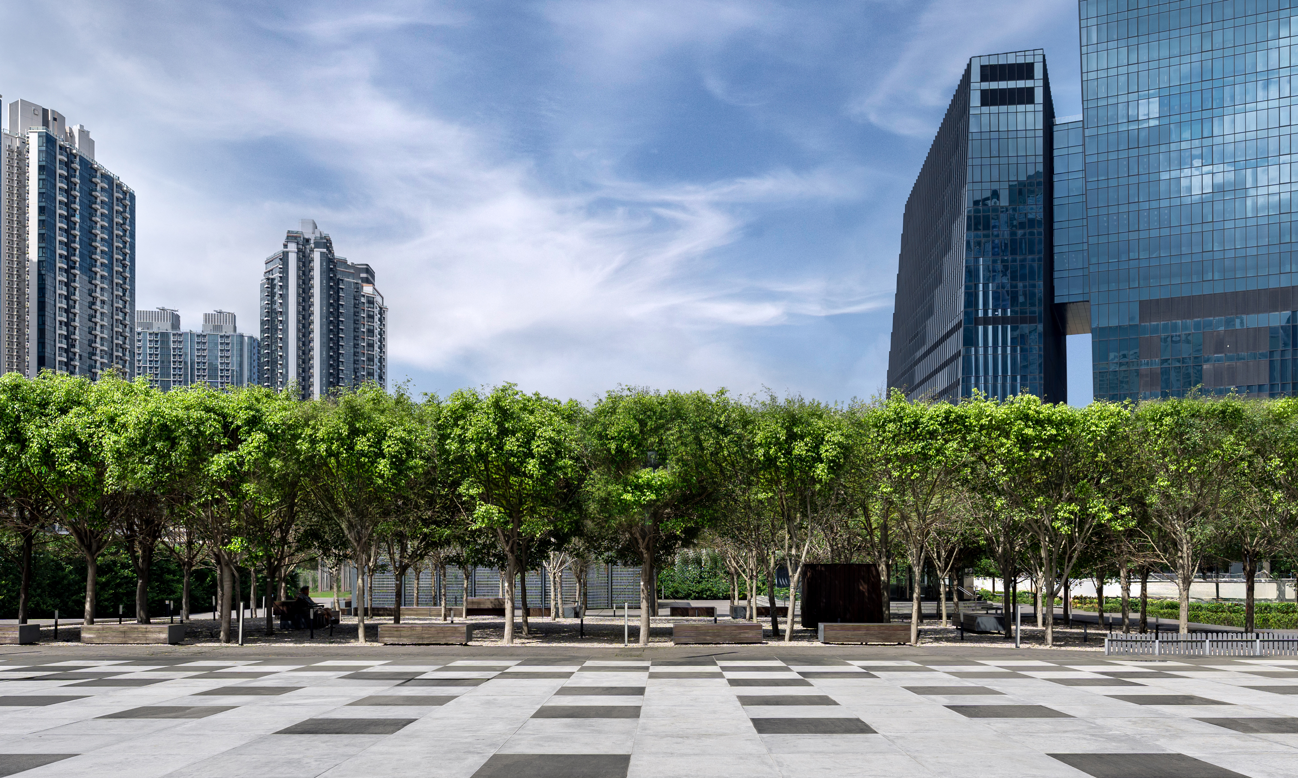 由剪型树组成的林荫花园