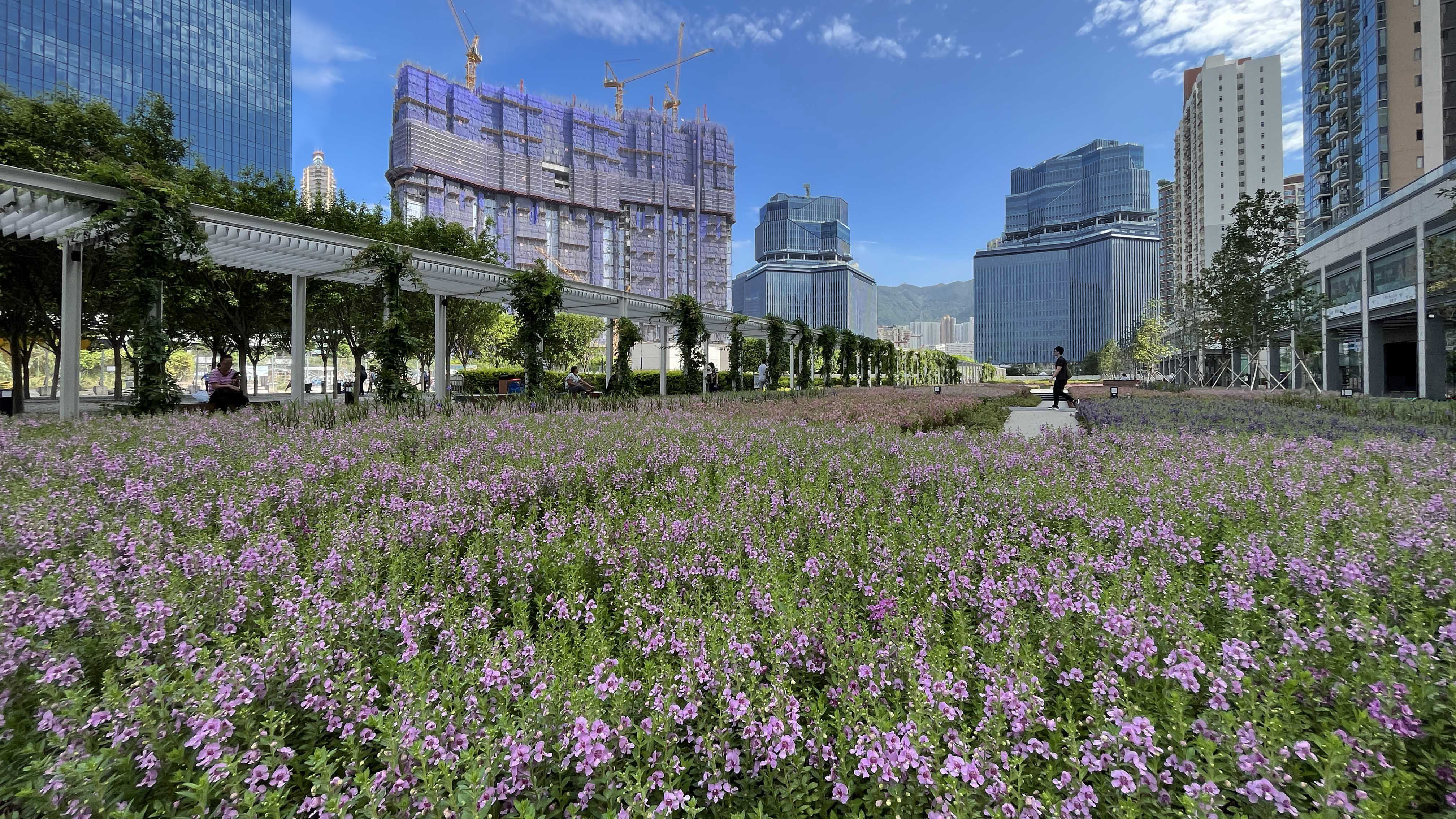 以花海为主题的园景设计