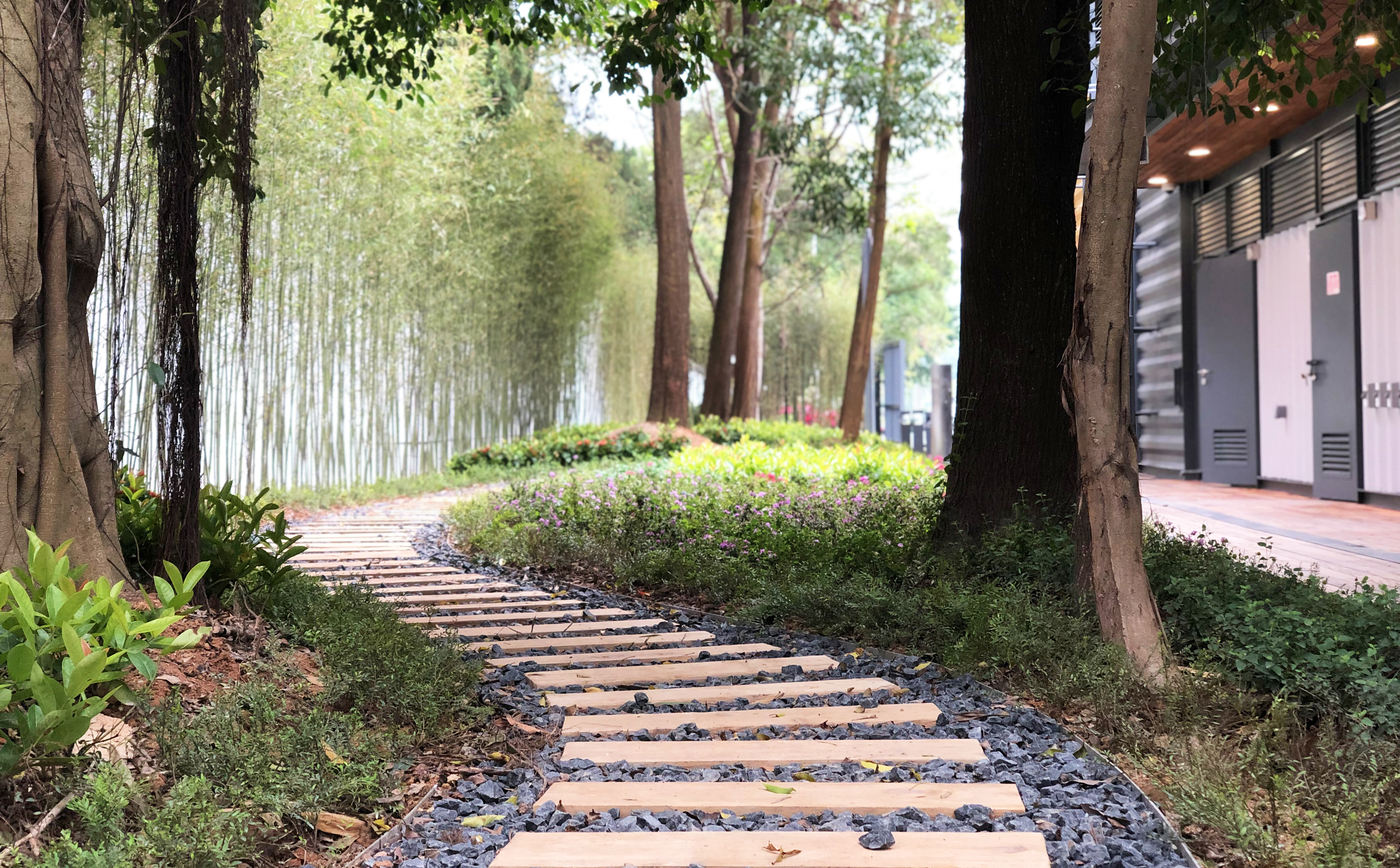 Landscape Garden with Timber Trail