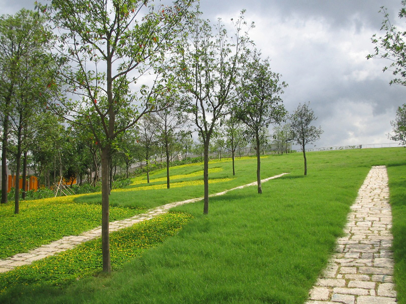 International Wetland Park