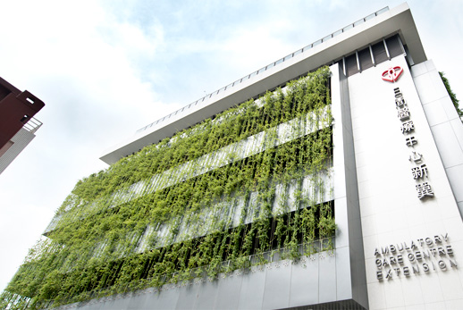 Vertical greening on building façades