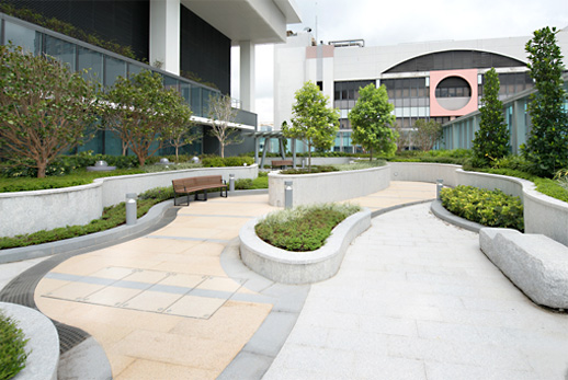 Staff garden on roof