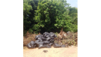 Collection of Yard Waste for Decomposing into Fertilizer