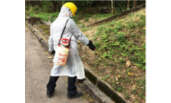 Frequent Mosquito Control