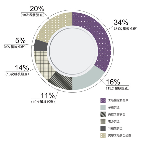 特定安全專題的工地巡查